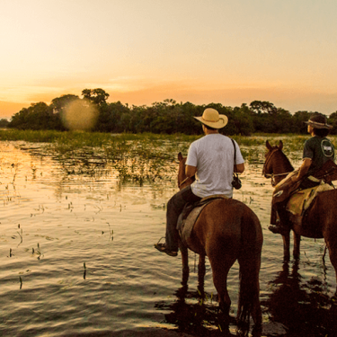bw_melhor_cidade_para_conhecer_o_pantanal_sul_e